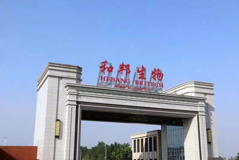 和邦生物主要产品价格同比上涨，业绩加速狂奔