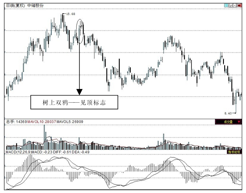 常用K线组合实例讲解：树上双鸦形态及中储股份案例分析