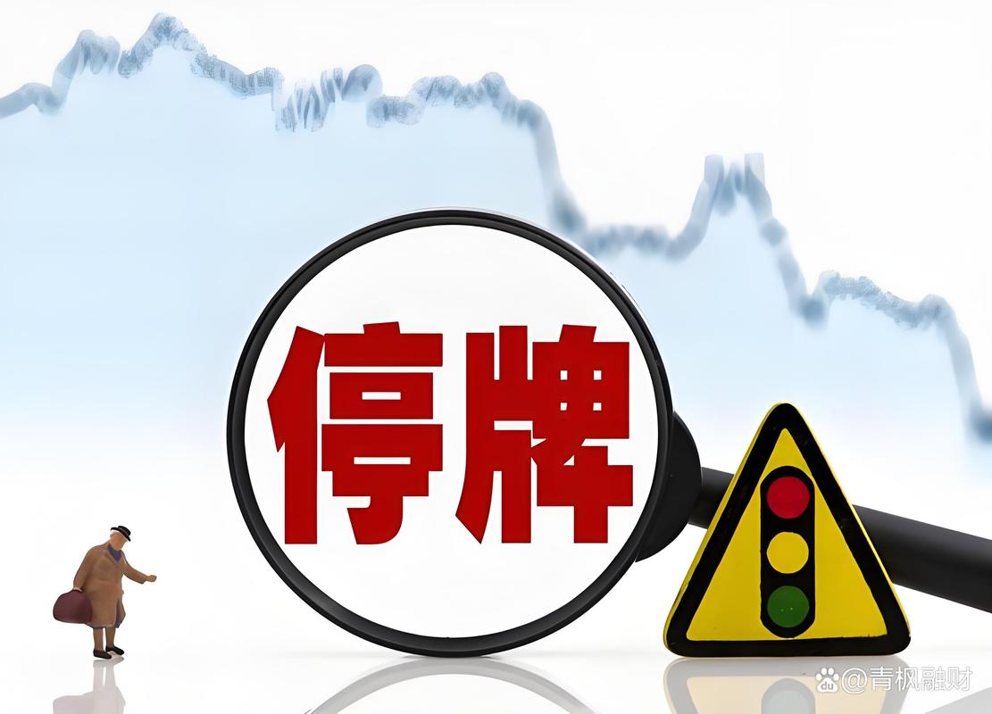 上市公司停牌原因分析_重大事项临时停牌好吗_A股停牌潮