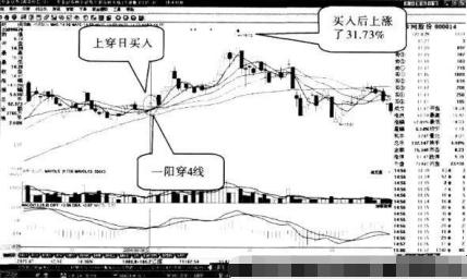 一阳穿四线战法_MACD金叉短线牛股_什么是股市一阳指