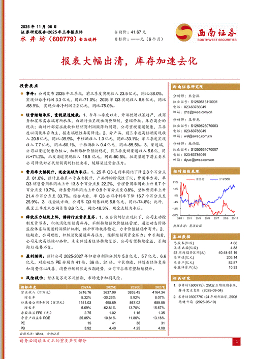水井坊股票分析_st水井 600779_水井坊资金流向