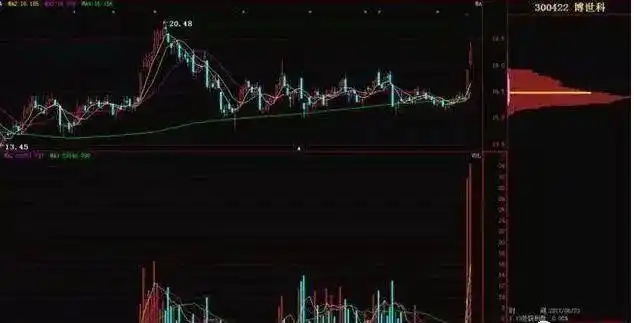巴菲特谈股市算计_新股民入市投资基础知识_庄家操作定式解密