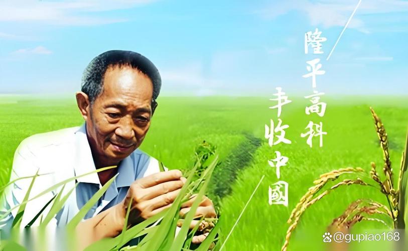 隆平高科董事长谈种业发展,各作物市场份额及研发投入情况