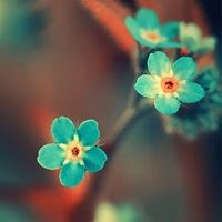 苹果手机查看WiFi频段_苹果手机WiFi频段查询方法_苹果手机测试wifi网速