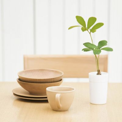 苹果手机WiFi频段查询方法_苹果手机测试wifi网速_苹果手机查看WiFi频段