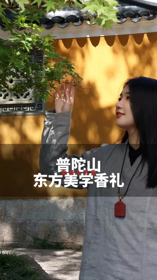 普陀山旅游筹划 IPO 业务结构生变,香业子公司被剥离