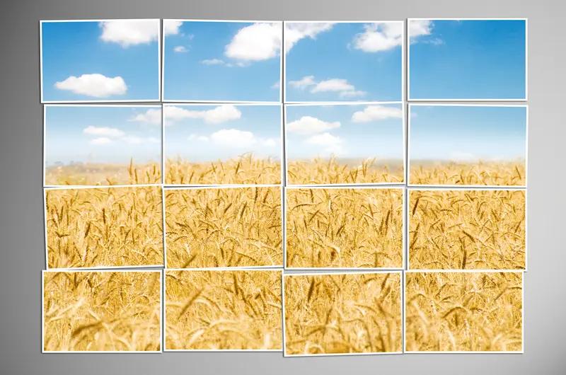 32平方米等于多少公顷？面积换算这样算