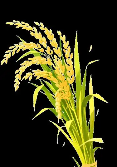 三分钟带你了解银行卡新规，三类卡区别及功能全解析