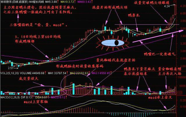 老鸭头形态选股，抓住十大牛股图形精髓
