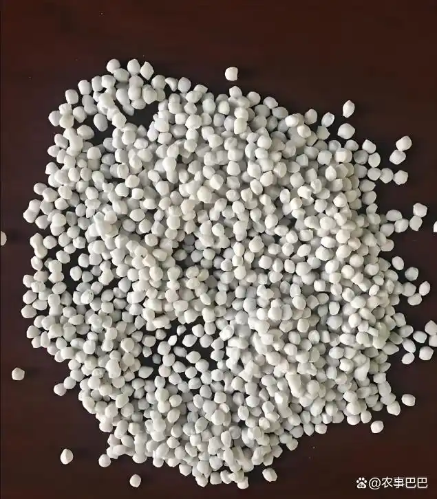 解密氮肥对植物生长作用及科学使用指南，关乎氮代谢