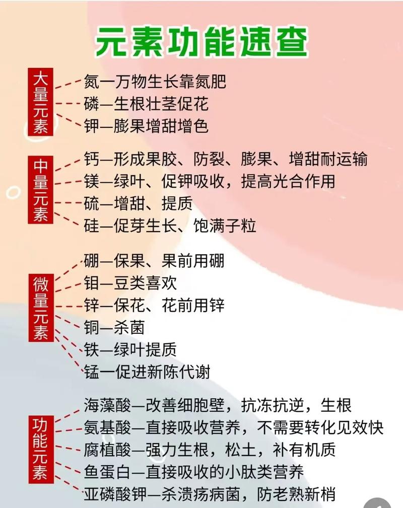 植物氮代谢_氮肥种类及其作用_植物氮素营养重要性