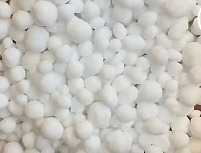 植物氮代谢_植物氮素作用_植物缺氮症状