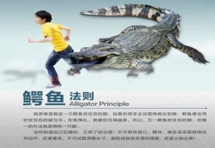 投教动漫大赛 鳄鱼法则 止损原则_及时止损是什么意思