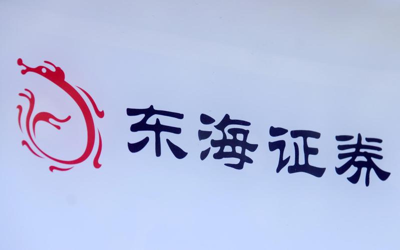 独立财务顾问虚假记载_东海证券东海通图标_东海证券证监会处罚