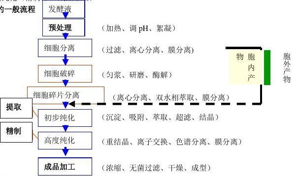 发酵产物分离纯化步骤 教学实操指南