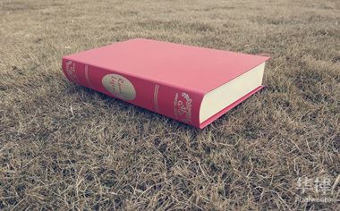 重组所需时长及失败后再次重组的影响因素与间隔探讨