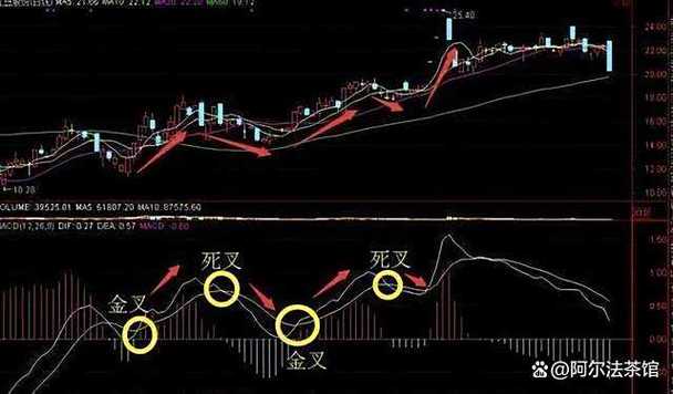 股票T+0操作技巧_股票被套牢t 0如何高卖低买_只做一只股票