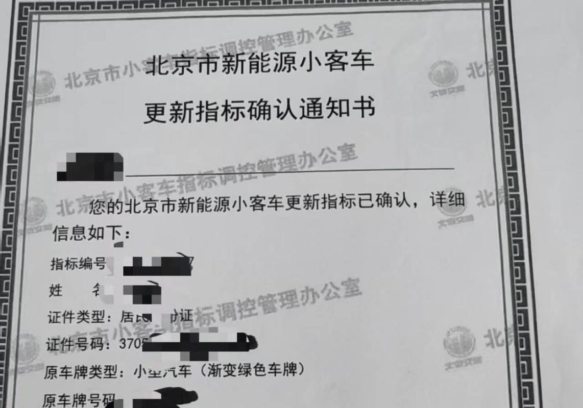 新能源车摇号新变化：弃号不退池，明年配置量翻倍