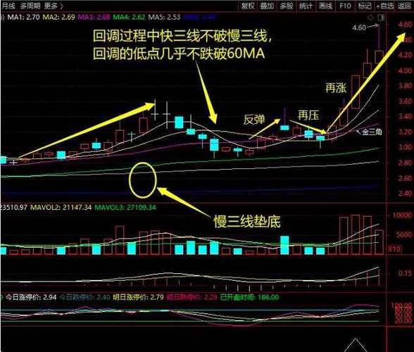 金蜘蛛选股公式实用指南，教你轻松筛选潜力个股