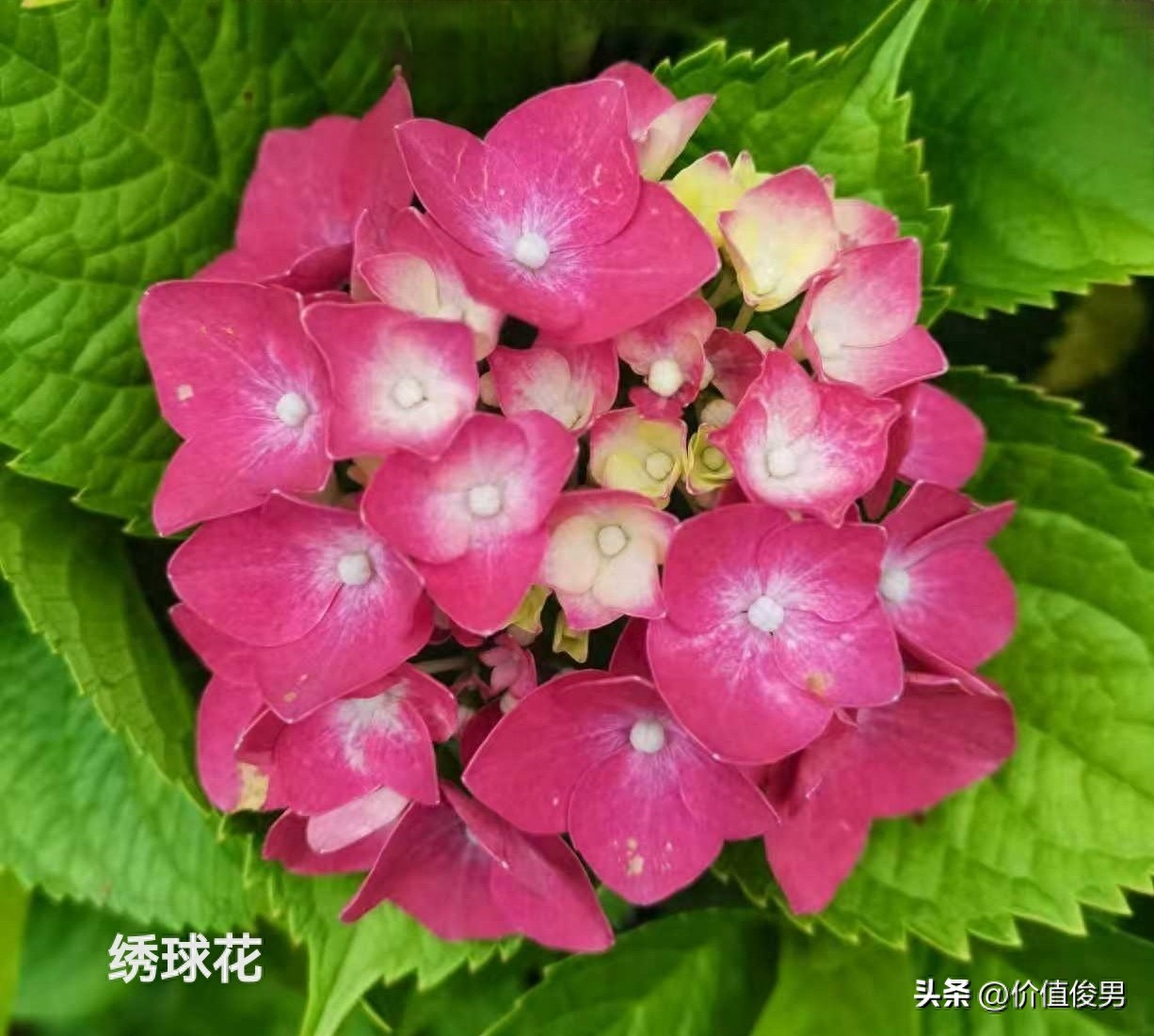 兴业银行率先赎回优先股，银行股下一个利润增长点来了？