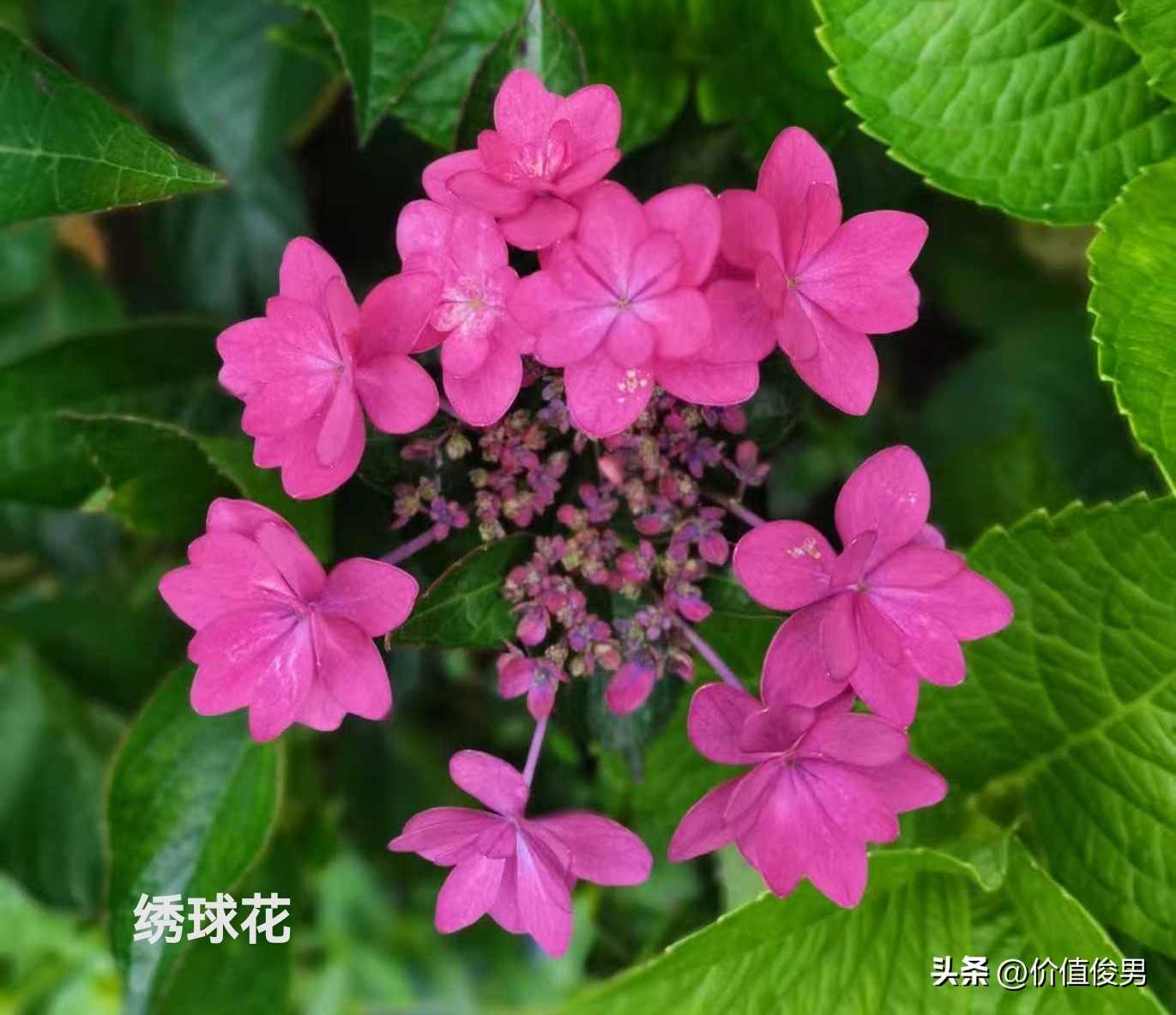 银行股2025年一季度报半年报分析_优先股 兴业银行_银行赎回优先股趋势