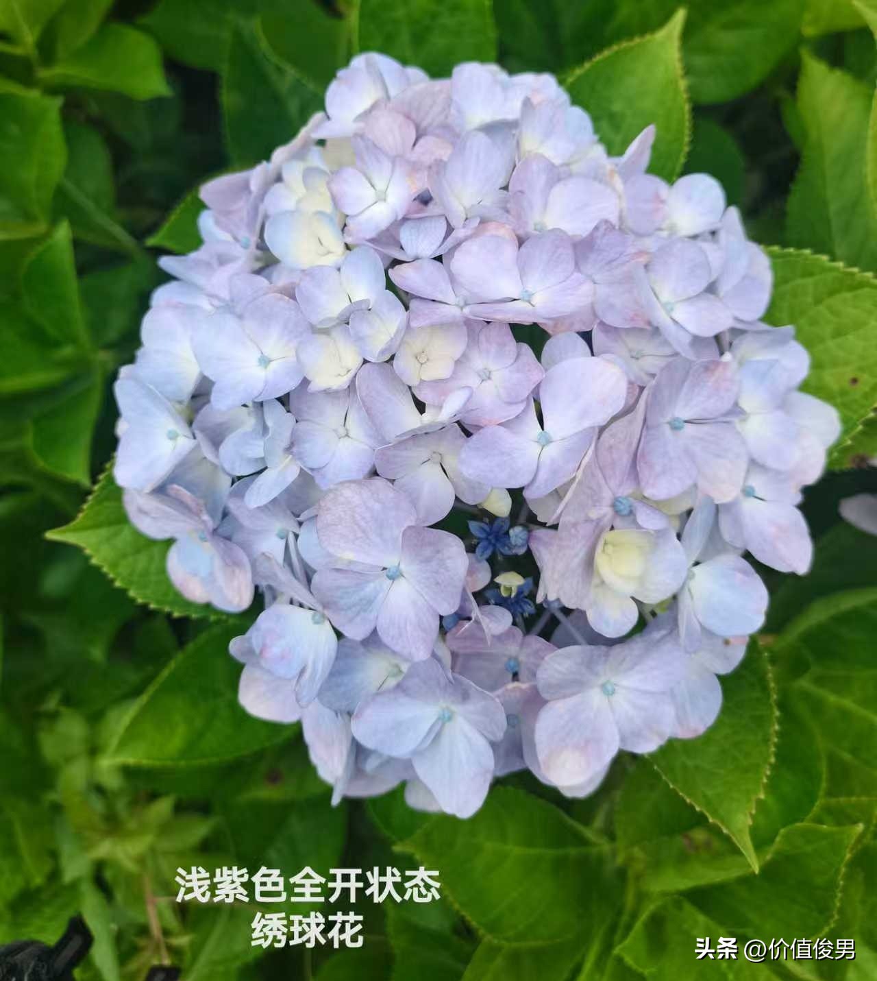 银行股2025年一季度报半年报分析_优先股 兴业银行_银行赎回优先股趋势