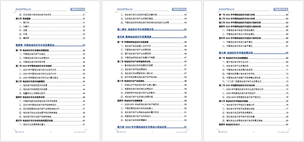 中国电动自行车行业市场分析报告_电动自行车行业发展策略研究_电动自行车市场前景