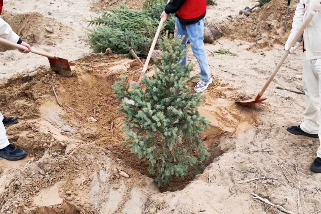 亿利能源集团官网_库布齐沙漠植树活动志愿者_国家能源集团亿利电厂小鸿雁志愿服务队植树